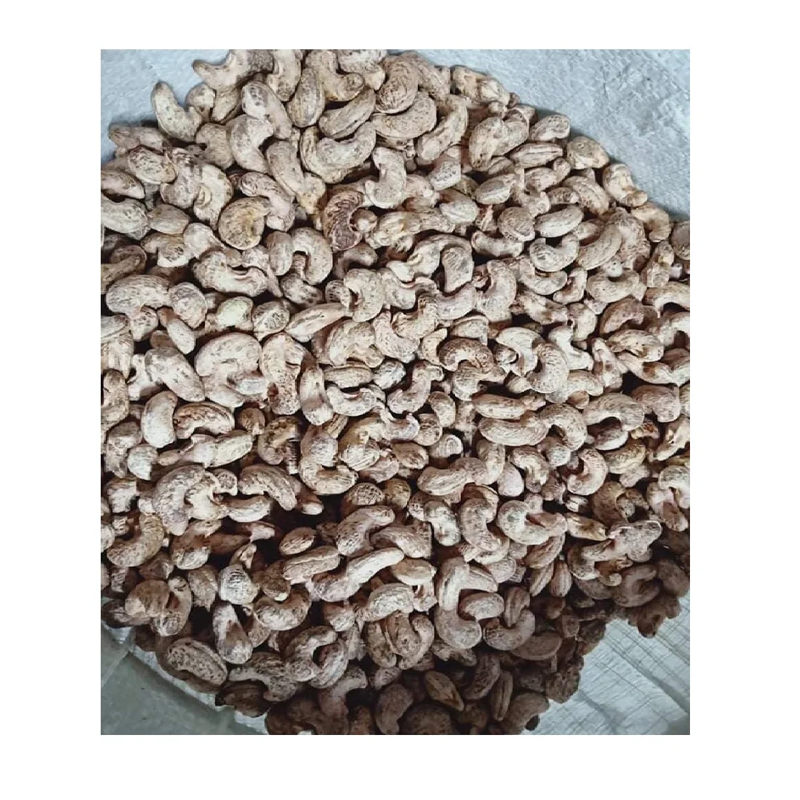 Лучшая цена жареные орехи кешью с большим зерном премиум класса по лучшей цене из Вьетнама