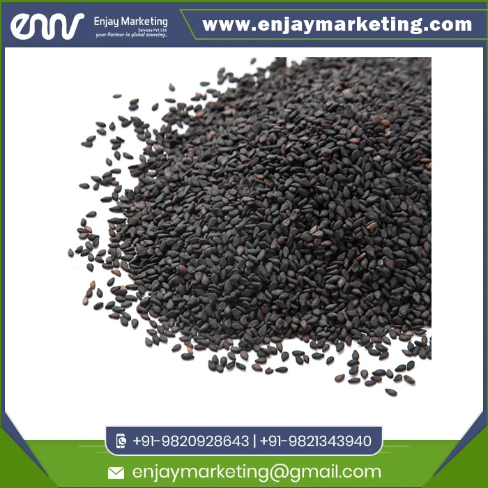 100% Good Quality Best Black Sesame at Wholesale Price