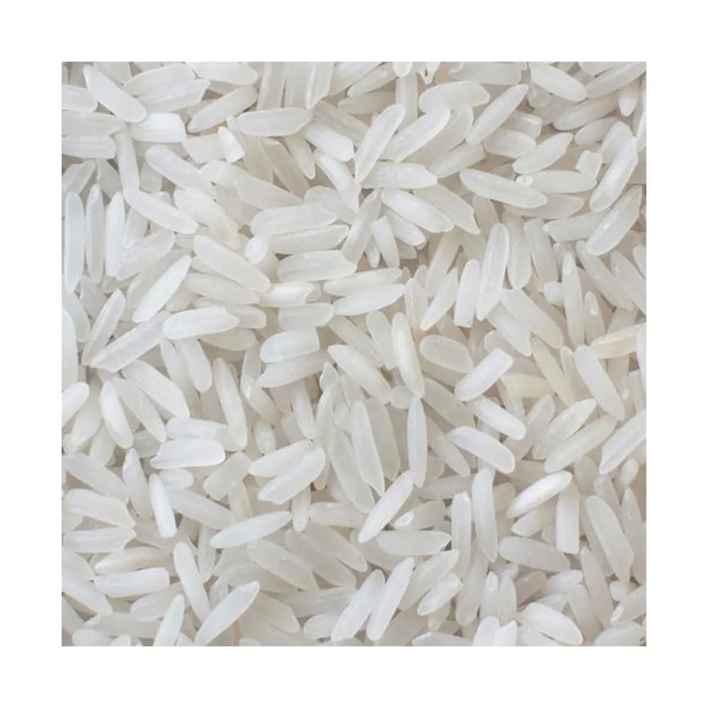 Round Grain or Medium Grain Raw Rice 5% Broken Round Rice Bulk Supply