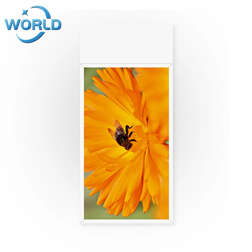  Магазины двусторонний открытый Digital Signage водонепроницаемый киоск рекламы