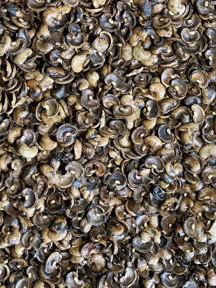 Лучший поставщик остатков скорлупы кешью скорлупа отходы для топлива в промышленности + 84902803631