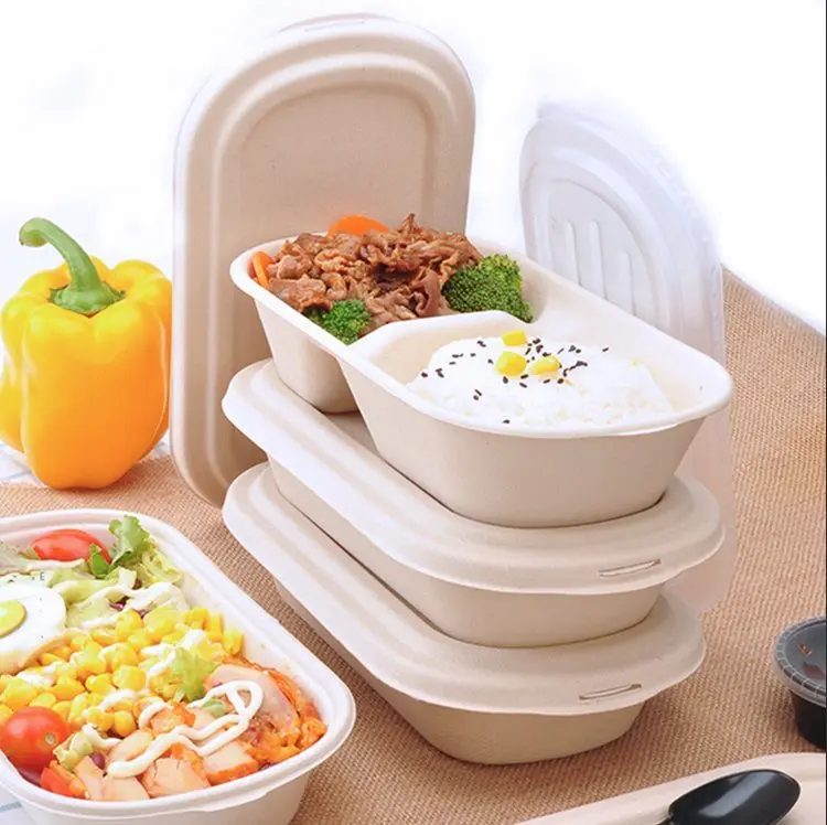 OEM Sugarcane Bagasse 500ml 700ml Biodegradable Food Container Customized Disposable Tableware with Lid