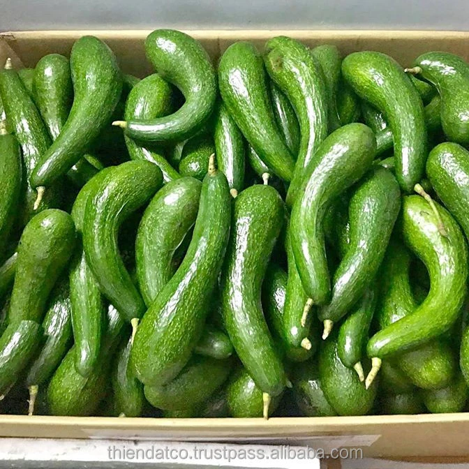 FRESH LONG NECK AVOCADO 034 VIETNAM NEWEST CROP 2021