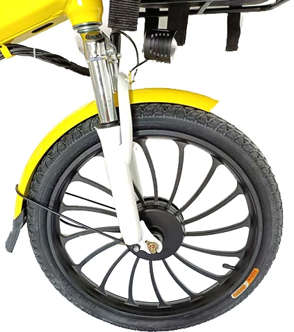 Быстрая Доставка еды на большие расстояния до 100 км, Электрический Грузовой электровелосипед с двойной батареей 24 Ач для всей семьи