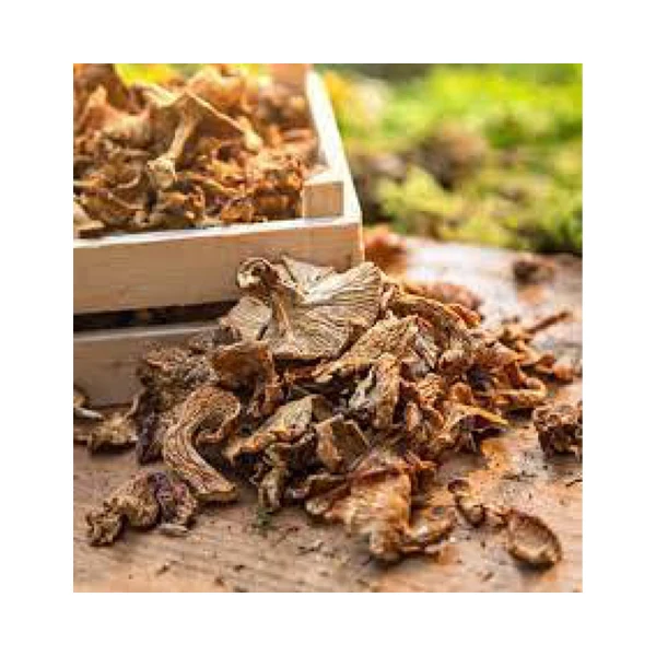 Низкая цена оптовая продажа высококачественные длительные сушеные грибы Kanlica Сделано в