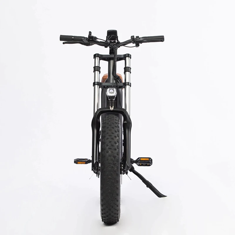 Hot sale 20 Inch Fat Tire Electric Bicycle Electric Mountain Bike  E-bike Electric Scooter With 36V 48V 13AH 350W500W750W Motor