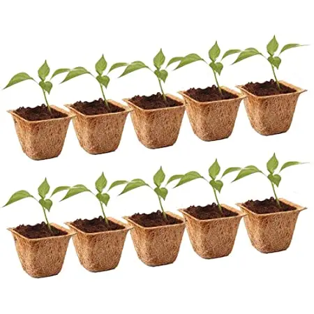 Высококачественный органический торфяной горшок для рассады посадки семян прорастание кокосового горшка садовые горшки