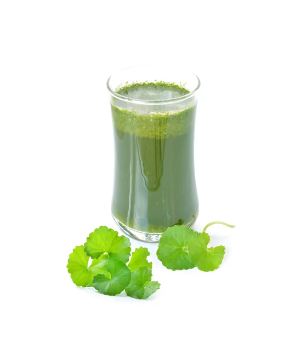 (Organic) Centella Asiatica Powder (1,000 gram) Thai Herbal Extract - custom size package & design (Product of Thailand)