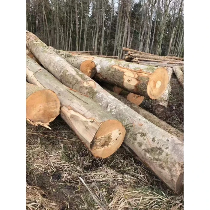 Good Grade Beech Logs
