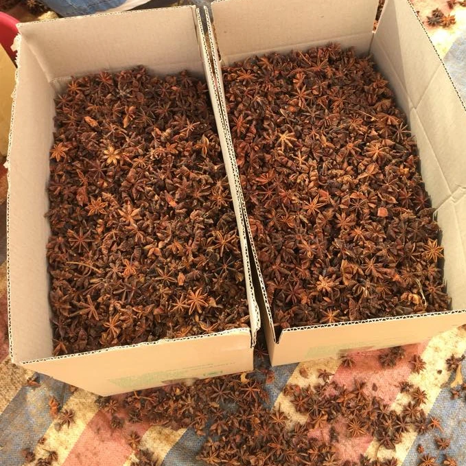 Supplier organic hand select star anise / hight quality star aniseed