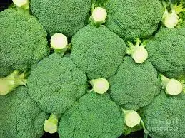 
Hot sale Fresh broccoli for sale 