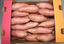 Сладкий картофель-A1 превосходного качества