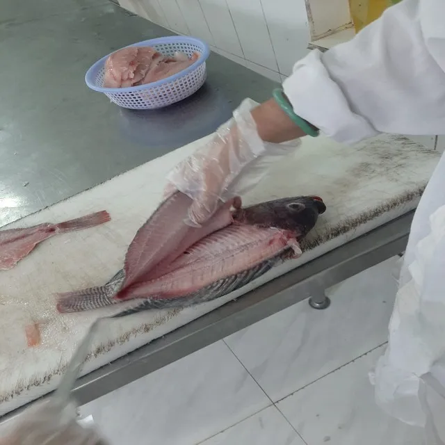 Хит продаж 2021, замороженный стейк тунца, желтохвостый стейк тунца, доставка из Вьетнама