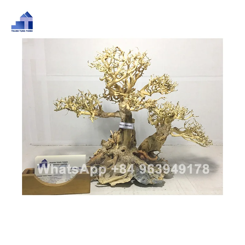 2024 Hot Sale Bonsai Driftwood for Aquarium accessories landscaping fish tank filter WhatsApp +84 963949178