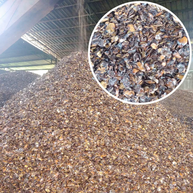AGRICULTURAL WASTE CASHEW NUT SHELL with good price
