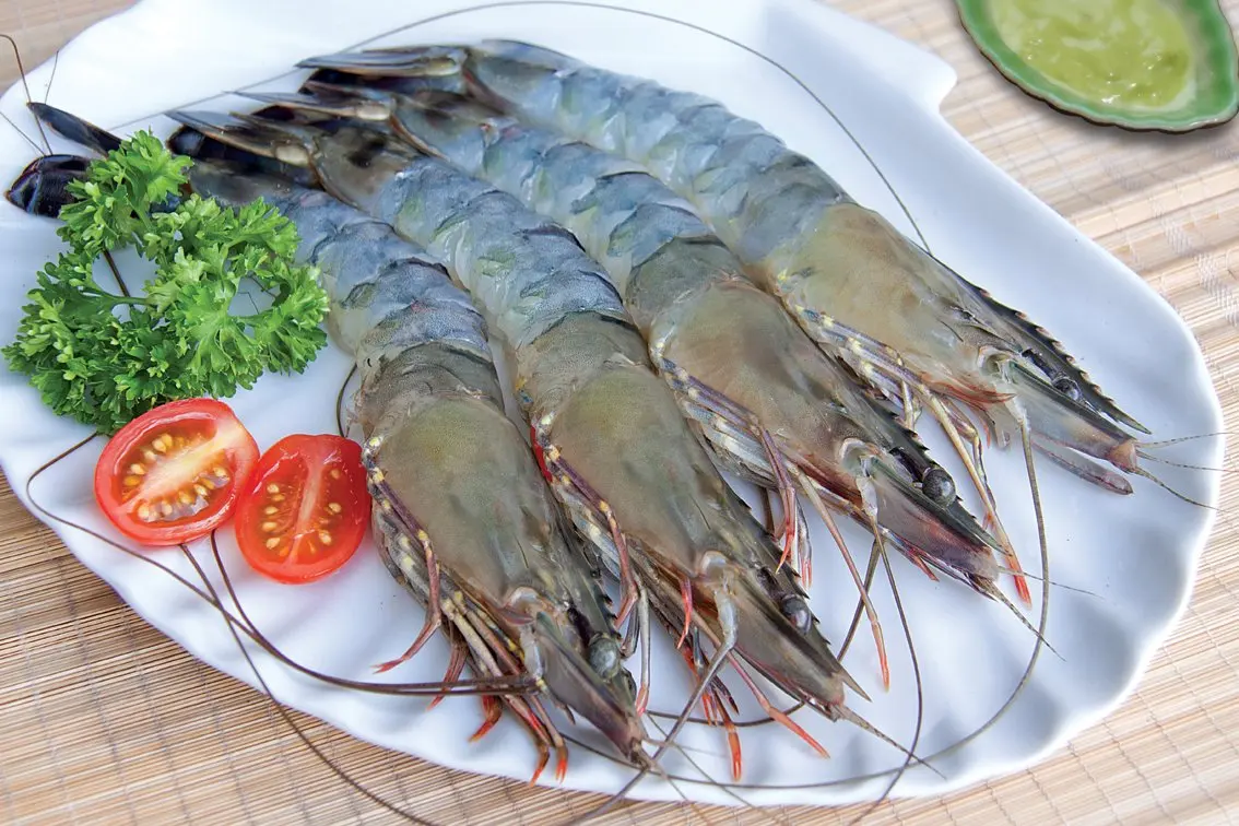 Raw frozen PTO / PDTO shrimp Bulk white leg shrimp
