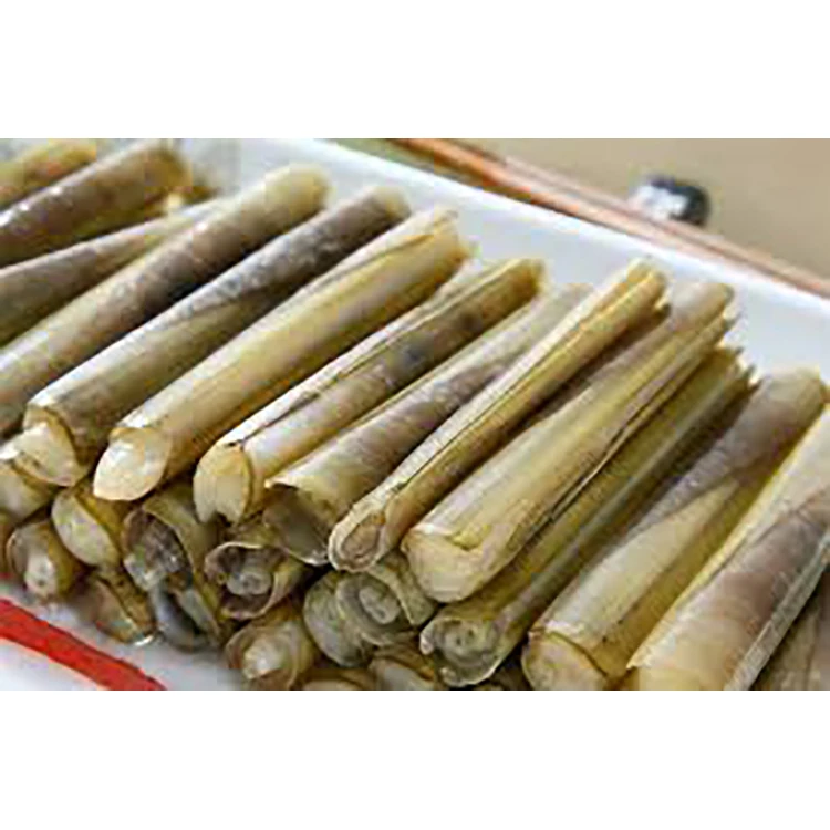 Frozen Whole Bamboo Razor Clam Shell Export Quality