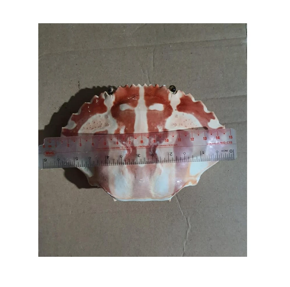 Сушеная оболочка краба для украшения еды