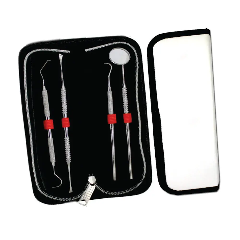 Stainless Steel Dentist Tools Dental Instruments Surgical Dental Hygiene Kit