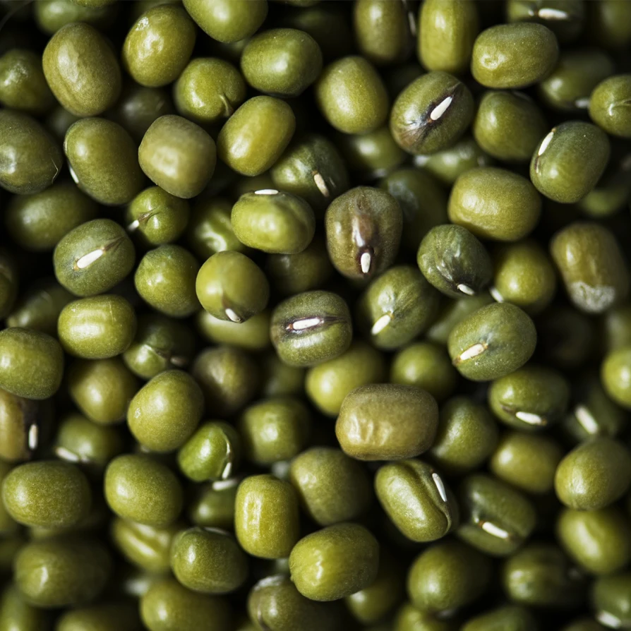 Wholesale High Quality Green Mung Beans For Sale In Cheap Price
