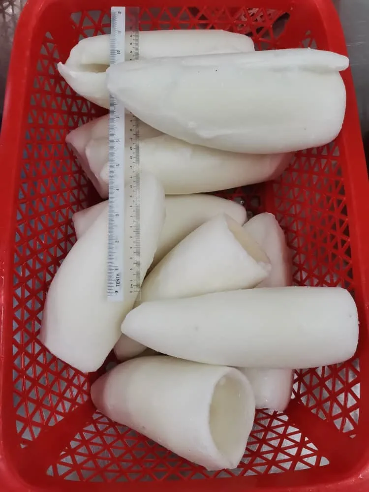 Customize Size Best Price Frozen Whole Cleaned Cuttlefish Roll IQF With 2 Years Shelf Life From Malaysia