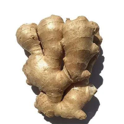 Ginger for Export / Fast delivery and Quick response