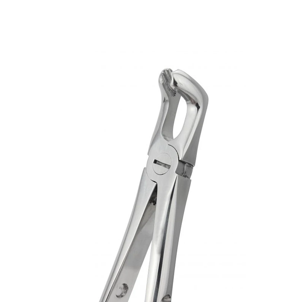 Veterinary Teeth Forceps High Quality Tooth Rasps Tooth Rasp For Animals Applicator Tooth Cutter Extracting Forceps Dental