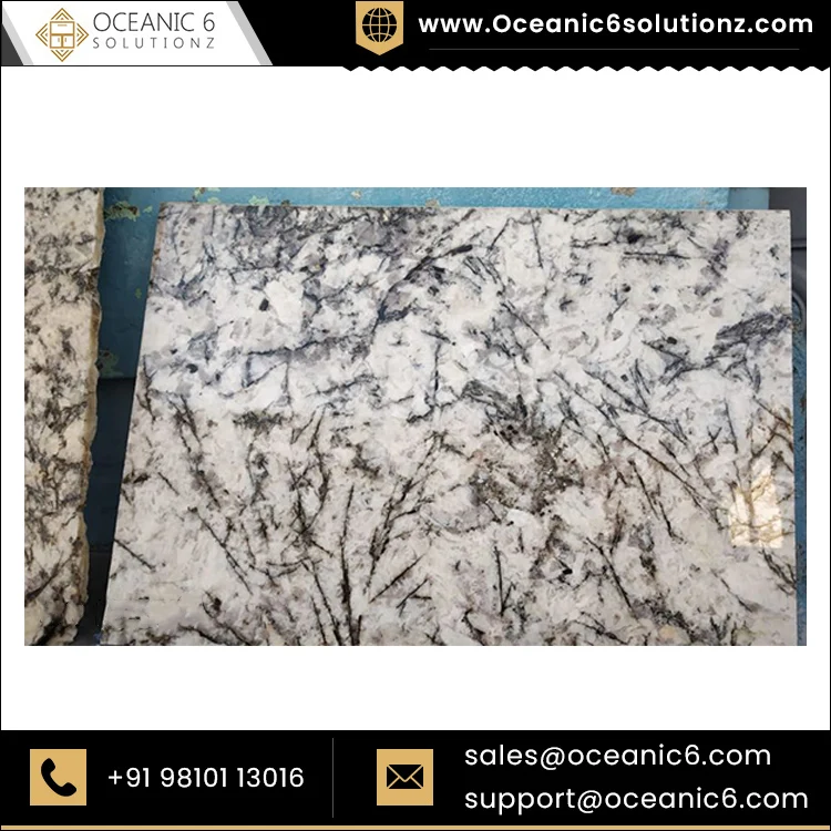 Лидер продаж лучший дизайн Аляска белый гранит оптовый поставщик