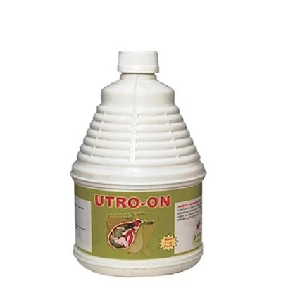 COW UTERUS HEALTH MEDICINE