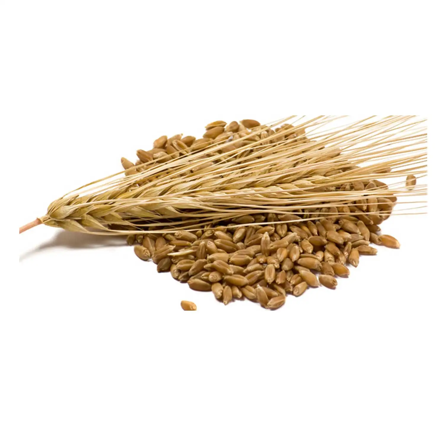 Жемчужные жемчужины хорошего качества