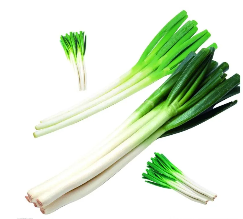 Turkey mildly spicy good onion green fresh scallions