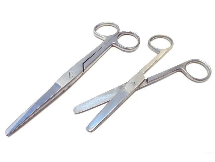 6 PCS BIOLOGY LAB ANATOMY MEDICAL STUDENT DISSECTING