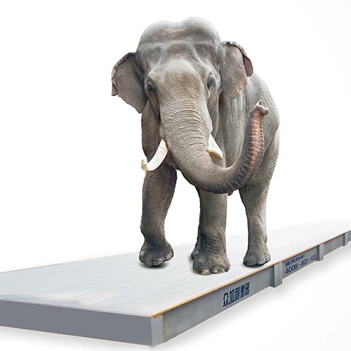 Стандартные весы ZONJLI для грузовиков, 30 тонн, из нержавеющей стали, для горных работ, портов, станций