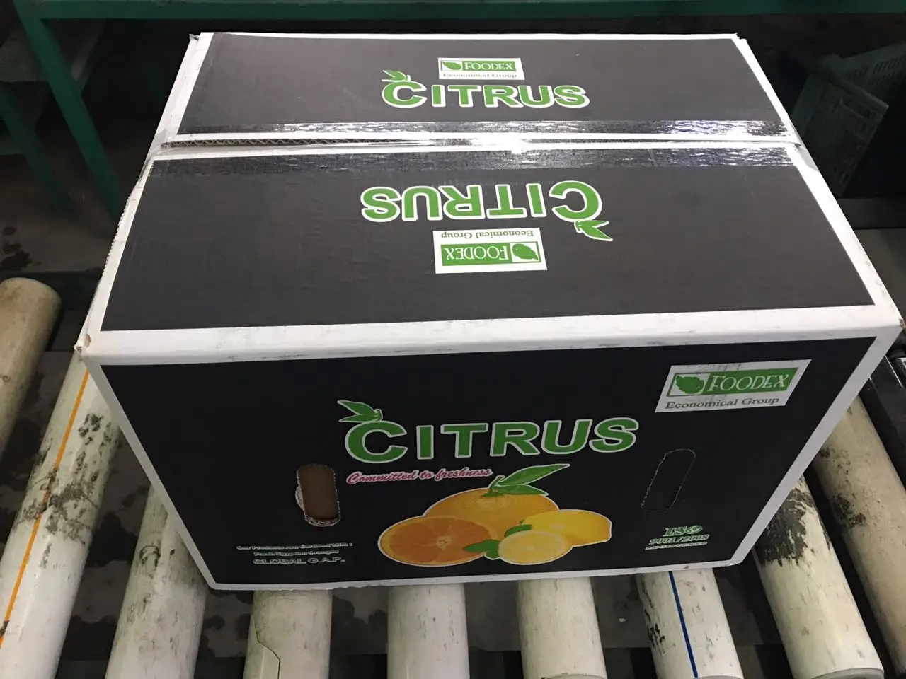 Fresh Valencia orange готова к экспорту сезон 2022 во