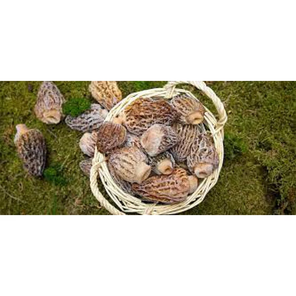 Низкая цена оптовая продажа высококачественные долговечные замороженные грибы-Сделано в