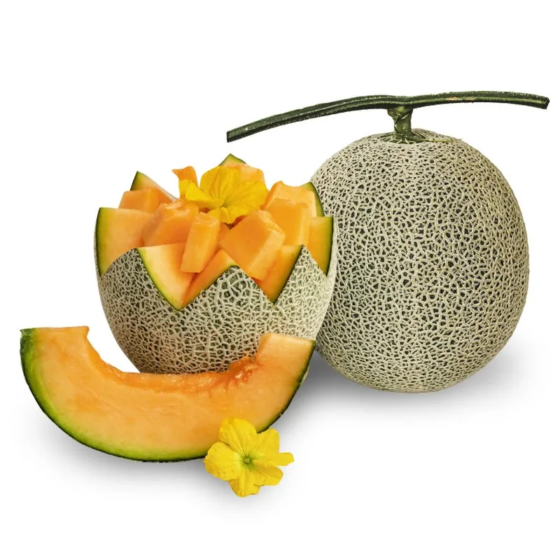 Vietnam Export Quality Nutrients Natural Mellow Fragrance Organic Cultivation Type Muskmelon Sweet Fresh Melon
