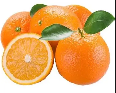 Fresh ORANGE 2021 BEST PRICE Washington Navelina Navelate Valencia Cara Cara Fukumato Navel Ready to Export