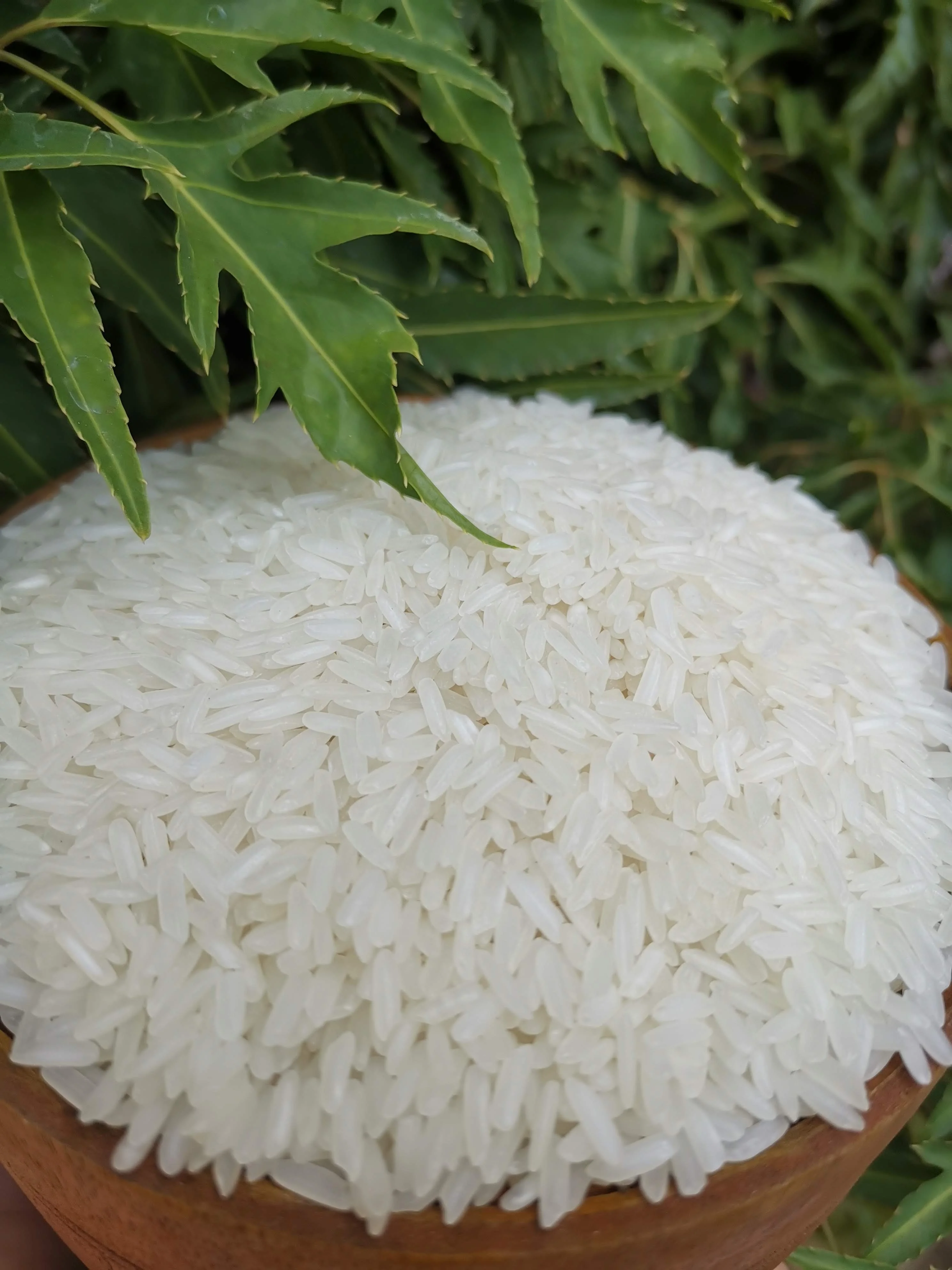 
Vietnam round rice/Japonica round rice/White round grain rice( 0084989322607 whatsapp Linda) 