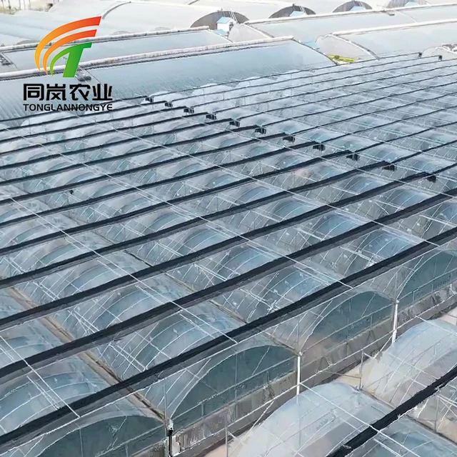 Factory Direct Supply Plastic Sheet Foil Cover Greenhouses Tent With System Technology For Indoor or Outdoor