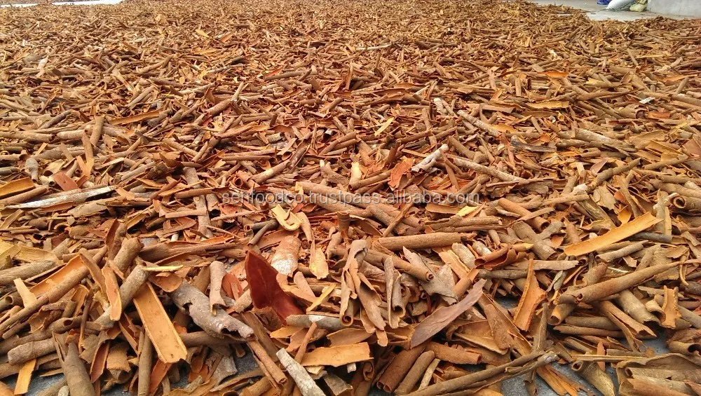 BROKEN CASSIA NEW CROP 2021 HIGH QUALITY