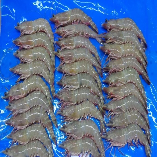 FRESH FROZEN HEAD ON SHELL ON FLOWER SHRIMP HOSO SHRIMP SEAFOOD PRODUCT AT HIGHEST MINIMUM ORDER QUANTITY
