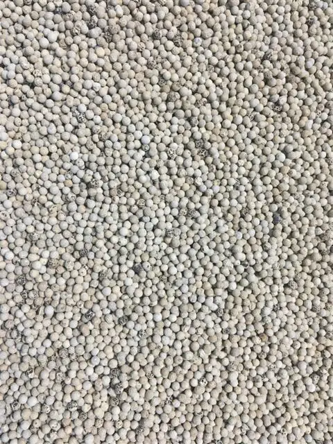 VIETNAM WHITE PEPPER SEED DOUBLE WASHED 630GR/L