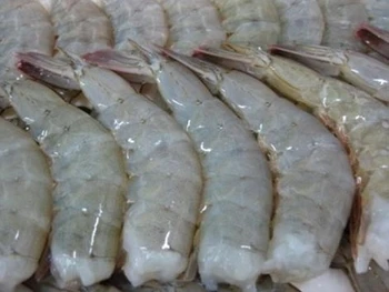 High quality Raw Vannamei Shrimp HLSO, Headless, Shell On Wholesale Frozen Seafood made in Vietnam Shrimp ready to ship, export