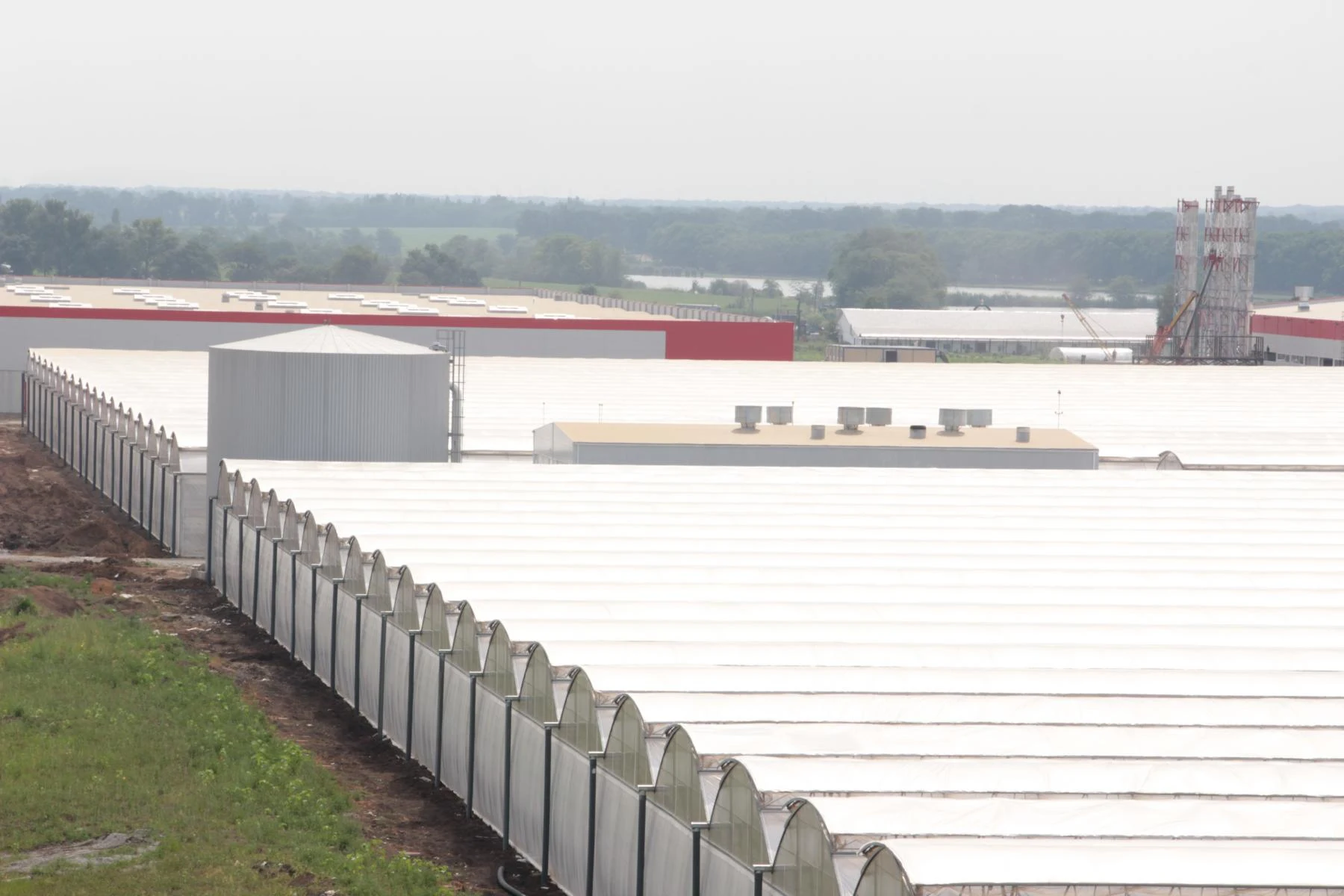 Good quality industrial film greenhouses for all-year vegetable and fruit growing, greenhouse metal frame