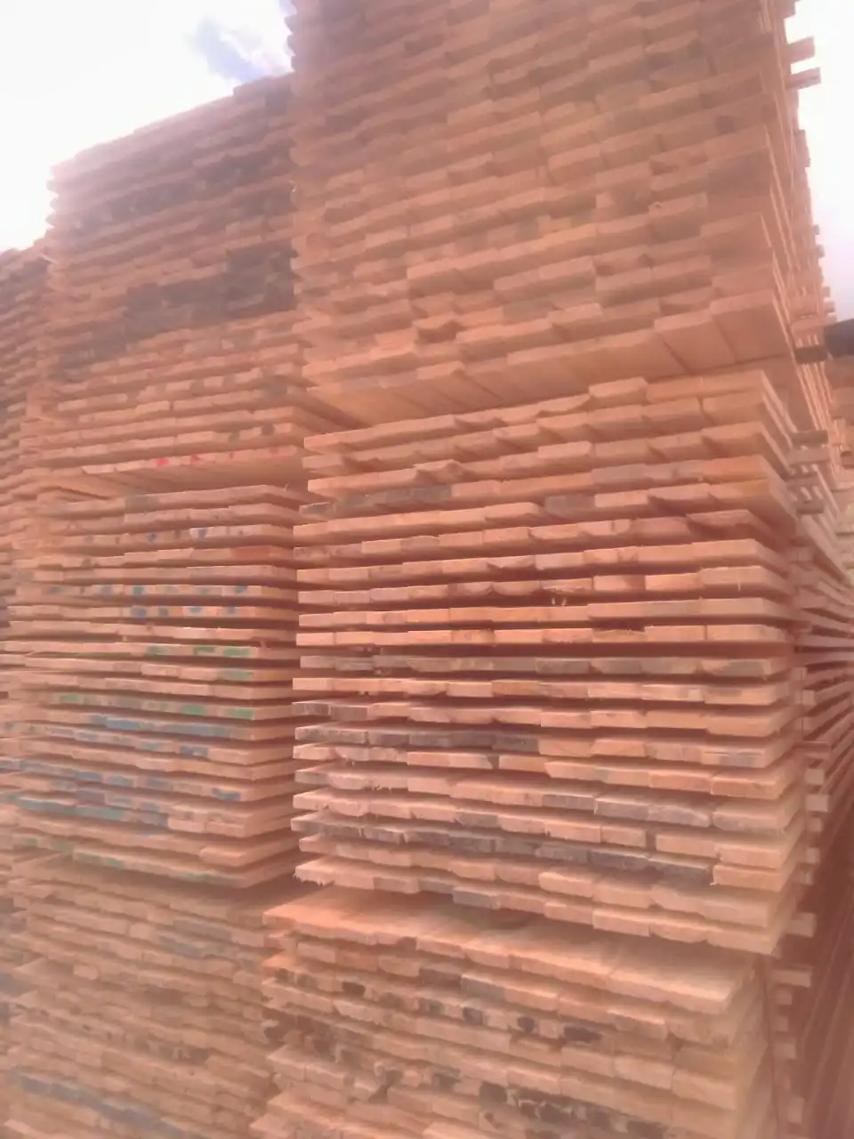 
Spruce timber dry or raw 