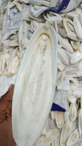 Кости для морской слепки Вьетнам Томас + 84961478592