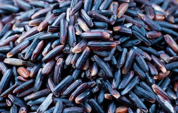Very Cheap Price of Five Percentage Sortext Long Grain Black Rice from Vietnam