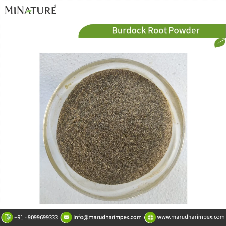 Premium Quality Best Selling Pure and Natural Herbal Burdock Root Powder for Bulk Purchase
