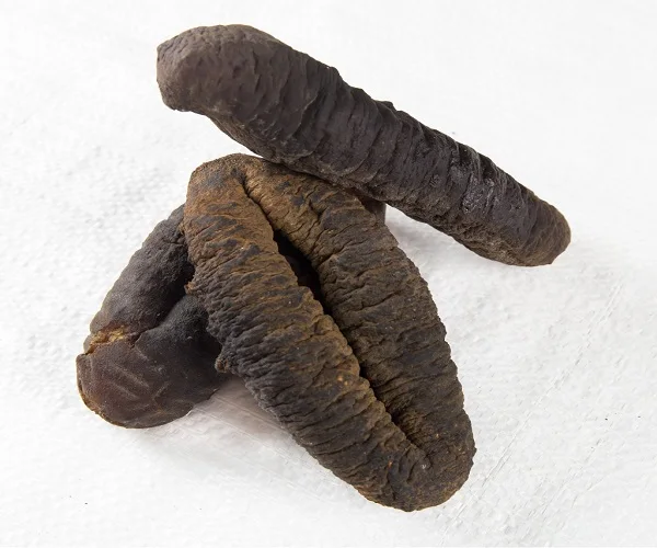 
Best quality natural Sun dried sea cucumber bulk suppliers 