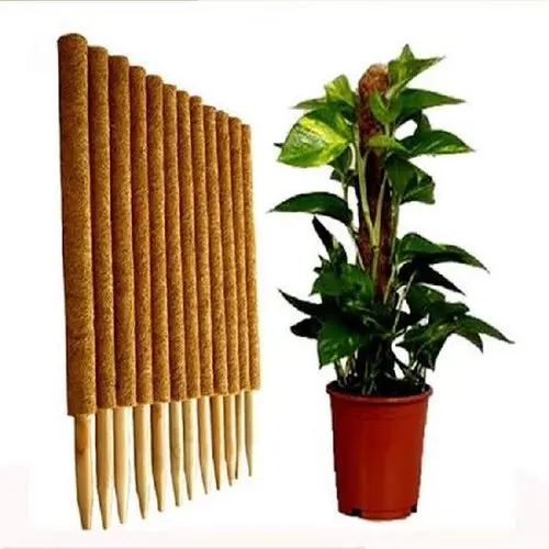 Hot Sale coco coir plant Pole Sticks for Creepers Plant Support Extension Climbing Indoor Plants